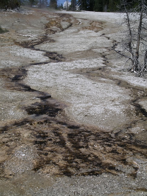 images/F- West Thumb Geyser Basin (19).jpg